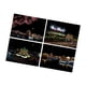 thumbnail image 2 of 4x Adornos De Papel Para Raspar Hojas Negras Para Raspar Dibujo Pintura Para Raspar Arquitectura, 2 of 3