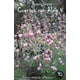 thumbnail image 1 of Cuentos Con Alma V, 1 of 3