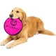 thumbnail image 1 of Disco para perro Hyper Pet Flippy Flopper de 9 pulgadas, 1 of 3