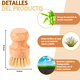 thumbnail image 4 of Cepillos de Bambú para Fregar Cepillo de Cocina Cerdas de Sisal Natural, 4 of 6