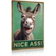 thumbnail image 1 of Letrero aluminio burro divertido 20x30 cm buen culo rústico decoración hogar humorístico granja baño retro placa cafetería, 1 of 7