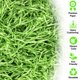thumbnail image 3 of Hierba de Pascua Wittocs Verde Papel Triturado Paquete de 250g, 3 of 9
