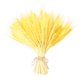 thumbnail image 1 of 100 Piezas De Flor De Oreja De Trigo Real Flores Secas Decoración De Fiesta De Boda Amarillo, 1 of 5