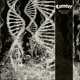 thumbnail image 1 of Música The Orchard – Dissonance Theory, 1 of 2