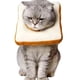 thumbnail image 3 of El anillo del cojín del perro y el cono del cuello sanan más rápido, los donuts de gato y perro suaves evitan arañazos y costuras táctiles (M), 3 of 3