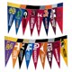 thumbnail image 1 of Conjunto de banderines SEC de Rico Industries 10 cm × 23 cm, 1 of 7