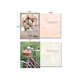 thumbnail image 2 of Caja de Tarjetas de Felicitación Leanin' Tree Country Daydreams, 2 of 9