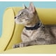 thumbnail image 5 of 8 collares de liberación rápida para gatos, 5 of 5