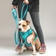 thumbnail image 2 of Correa De Paseo Tactic Para Perros Street Dogs 3m turquesa, 2 of 6
