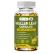 thumbnail image 1 of Mullein 1000mg Orgánico Extracto Limpieza Pulmonar 120 Caps, 1 of 2