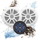 thumbnail image 1 of Altavoz estéreo para sistema de sonido Marine Boat BOSS MG150W.6, 1 of 6