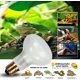 thumbnail image 5 of CULLEN - Paquete de 2 bombillas/lámparas de calor para reptiles, lámpara de calor UVA para lagartos, tortugas, dragones barbudos, erizos, reptiles y anfibios, con termómetro digital adhesivo, 5 of 6