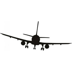 Rienda Libre Graphics - Decomural Passenger Plane Aeroplanes Ws-15939