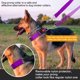 thumbnail image 2 of Collar de entrenamiento con púas para perro con liberación rápida y correa, 2 of 6