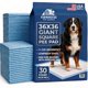 thumbnail image 1 of Almohadillas para cachorros Farmhouse Pet Supply 91 × 91 cm, paquete de 30, 1 of 9