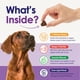 thumbnail image 4 of Suplemento multivitamínico para perros NuLife Natural 22 en 1 60 masticables, 4 of 9