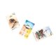 thumbnail image 5 of Alley Cat Washed Ashore – Juego de mesa de estrategia para 1‑6 jugadores, 5 of 9