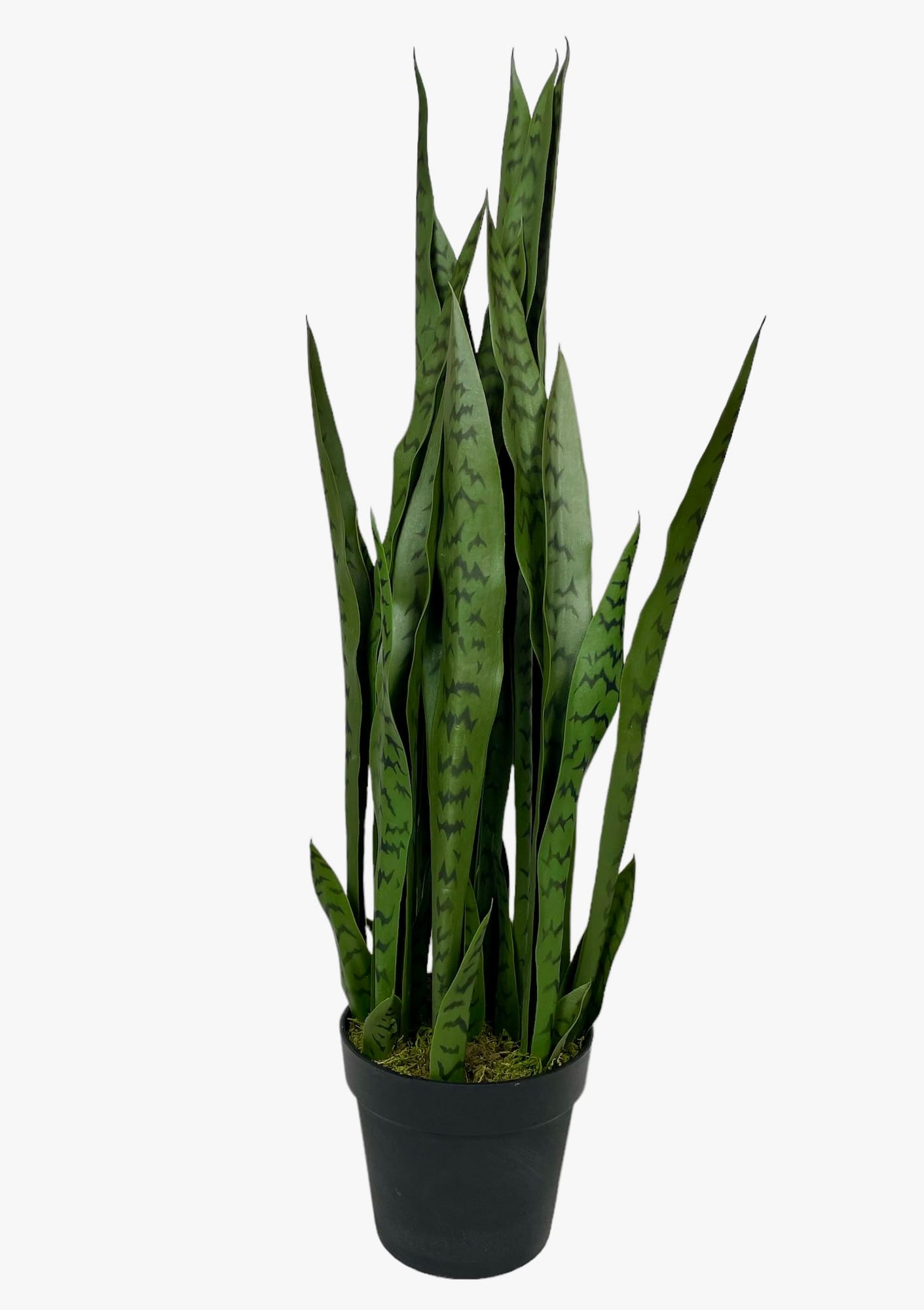 Corel - Sansevieria Verde 90Cm Artificial