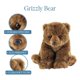 thumbnail image 2 of Peluche The Petting Zoo Grizzly Bear, 30 cm, 2 of 3