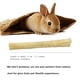 thumbnail image 2 of Palitos De Bambú De Rabbit Chew Toys 300 G, 2 of 7