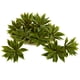 thumbnail image 1 of Minijuego de plantas artificiales de agave casi naturales y suculentas, 12 unidades, 1 of 5