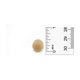 thumbnail image 4 of Pompones de acrílico beige de 1,3 cm Art Cove – 100 piezas, 4 of 4