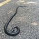 thumbnail image 2 of Juguete de goma con forma de serpiente COTOSEY, 53 cm, realista, falsa para bromas, 2 of 9