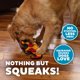 thumbnail image 4 of Juguete Durablez Mediano Outward Hound Gecko de 35 cm, Peluche con Chirrido, Naranja, 4 of 6