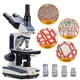 thumbnail image 5 of Microscopio compuesto SWIFT SW350T Trinocular 40X-2500X, 5 of 8