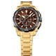 thumbnail image 4 of Reloj F20727/3 Festina Marrón Hombre Chrono Bike, 4 of 5