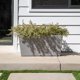 thumbnail image 4 of Macetero Veradek 50 cm × 30 cm × 100 cm – Amplio para Exterior, 4 of 9