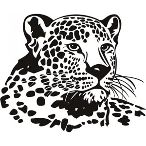 Rienda Libre Graphics - Decomural Leopard Head Big Cats Ws-15872