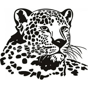 Rienda Libre Graphics - Decomural Leopard Head Big Cats Ws-15872