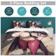 thumbnail image 5 of Alvida Bed Duvet Cover Funny Anime Cartoon Bedding Sets Lightweight 3 Piece Comforter Sets, 5 of 5