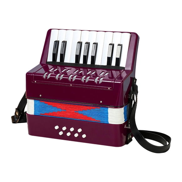 17 Teclas 8 Bajo Piano Acordeón Instrumento Musical Para Principiantes Niños Violeta
