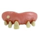 thumbnail image 2 of Dientes Falsos Billy-Bob 10031 – Novedad 60‑180 meses, 2 of 3