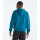 thumbnail image 2 of Sudadera con capucha The North Face Evolution Simple Dome 2X Big, 2 of 4
