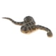 thumbnail image 5 of Simulación Animal Salvaje Modelo Figura Juguetes Estatuilla Decoración Para El Hogar Anaconda Verde, 5 of 5
