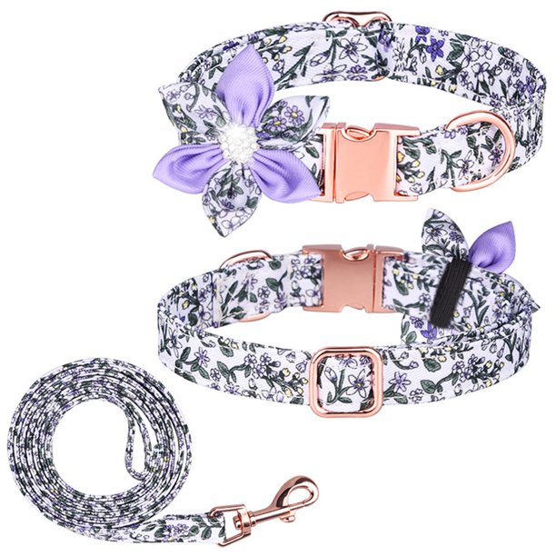 Collar y correa para perro ajustable con hebilla dorada fuerte, hermoso lazo y ribete floral.