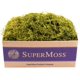 thumbnail image 1 of Musgo Español SuperMoss 1,4 kg Preservado en Verde Chartreuse, 1 of 3