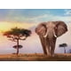 thumbnail image 2 of Puzzle 500 piezas Africa, 2 of 3