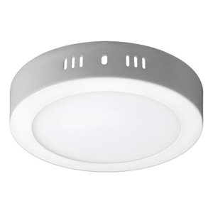 Teimporta - Panel Led Foco Plafón Sobrepuesto Redondo 12W 16Cm Luz Fría Blanco