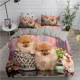 thumbnail image 1 of x504 Bed SheetsPomeranian Dog Duvet Cover Puppy Bedding Set for Teens Adults Pet Animal Colorful Sky /Polyester Quilt Cover 3-Piece Bedding Set (1 Duvet Cover + 2 Pillow Shams) nj504, 1 of 5