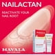thumbnail image 2 of Crema De Uñas Nailactan Nutritive En Tarro De 15 Ml, 2 of 8