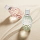 thumbnail image 5 of Jimmy Choo Floral Edt 40 Ml Mujer, 5 of 6
