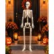 thumbnail image 5 of Esqueleto Realista Decorativo Para Halloween De 165cm, 5 of 6