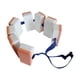 thumbnail image 2 of Cinturón De Natación Flotante De Cintura EVA De Seguridad Con Flotador Trasero Para Principiantes, Adultos, Ni?os, 8 Piezas, Tablas De 175 Cm, 2 of 5