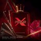 thumbnail image 2 of Perfume RALPH LAUREN FRAGRANCES Polo Red Extreme para hombre, 125 ml, 2 of 6