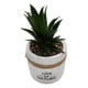 thumbnail image 2 of Planta Artificial Macetero Cerámica Vintage Love Of Nature, 2 of 3