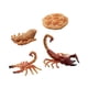 thumbnail image 2 of Conjunto De Ciclo De Vida De Animales Montessori Para Favores De Fiesta Proyectos Temáticos Secuenciación Estilo A, 2 of 5